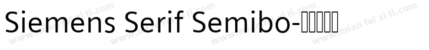 Siemens Serif Semibo字体转换